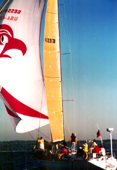 quint98b.jpg (21356 bytes)