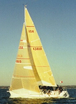 avaluw2.jpg (20594 bytes)