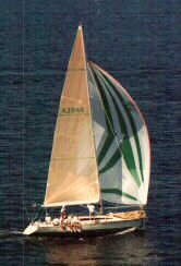 Brown Eyed Girl Downwind