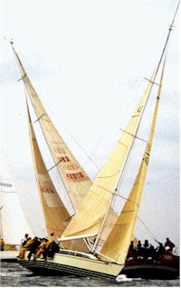 Brown Eyed Girl Upwind